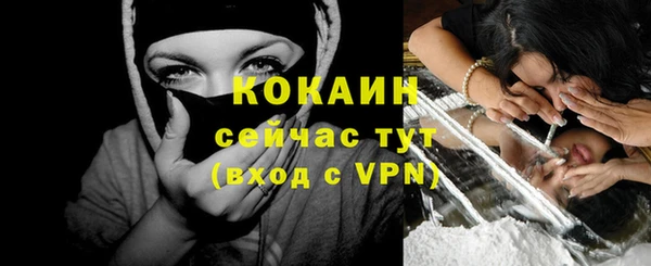 гидра Майский