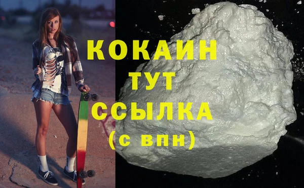 гидра Майский