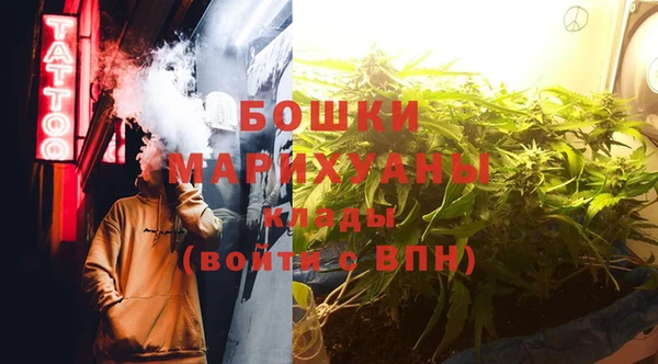 гидра Майский