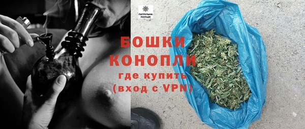 гидра Майский